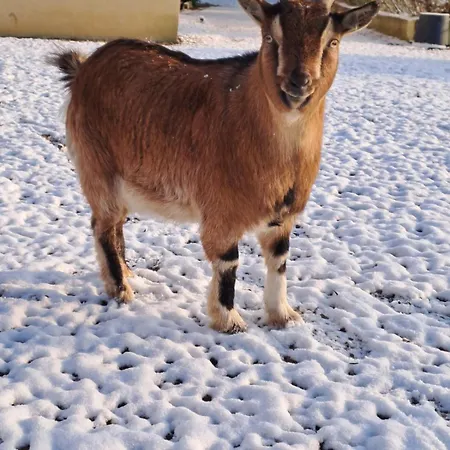 Сasa de vacaciones Du Pont De Tancelle *