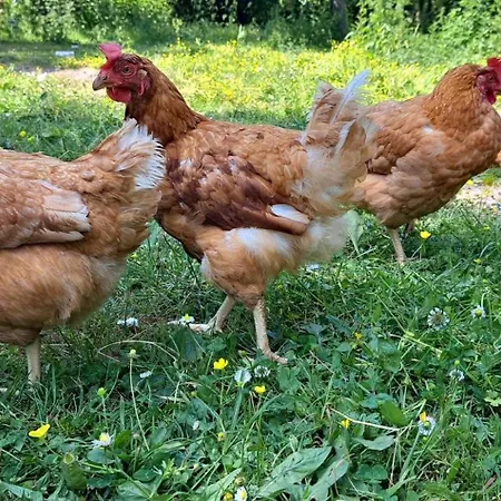 Сasa de vacaciones Du Pont De Tancelle