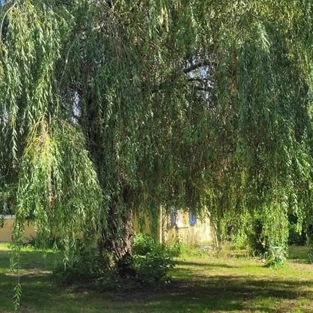 Сasa de vacaciones Du Pont De Tancelle Préaux