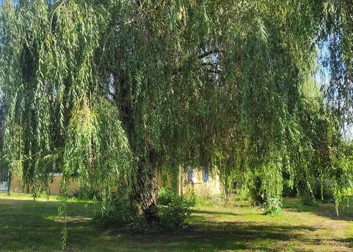 펜션 Du Pont De Tancelle Préaux